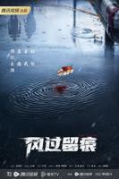 风过留痕电视剧免费观看全集高清完整版在线